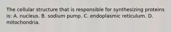 The cellular structure that is responsible for synthesizing proteins​ is: A. nucleus. B. sodium pump. C. endoplasmic reticulum. D. mitochondria.