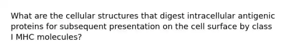 What are the cellular structures that digest intracellular antigenic proteins for subsequent presentation on the cell surface by class I MHC molecules?