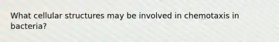 What cellular structures may be involved in chemotaxis in bacteria?