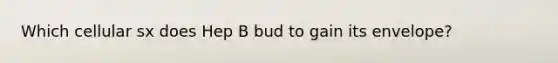 Which cellular sx does Hep B bud to gain its envelope?