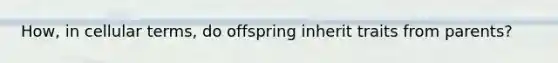 How, in cellular terms, do offspring inherit traits from parents?