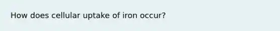 How does cellular uptake of iron occur?