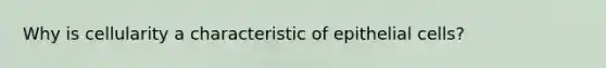 Why is cellularity a characteristic of epithelial cells?