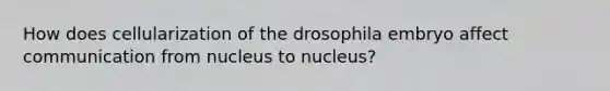 How does cellularization of the drosophila embryo affect communication from nucleus to nucleus?