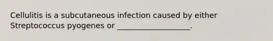 Cellulitis is a subcutaneous infection caused by either Streptococcus pyogenes or ___________________.