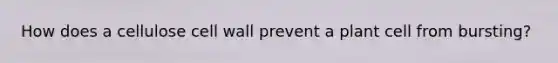 How does a cellulose cell wall prevent a plant cell from bursting?