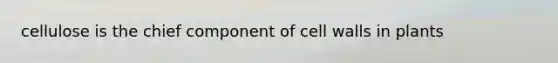 cellulose is the chief component of cell walls in plants