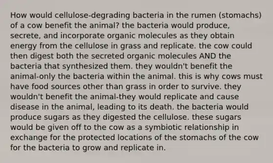 How would cellulose-degrading bacteria in the rumen (stomachs) of a cow benefit the animal? the bacteria would produce, secrete, and incorporate organic molecules as they obtain energy from the cellulose in grass and replicate. the cow could then digest both the secreted organic molecules AND the bacteria that synthesized them. they wouldn't benefit the animal-only the bacteria within the animal. this is why cows must have food sources other than grass in order to survive. they wouldn't benefit the animal-they would replicate and cause disease in the animal, leading to its death. the bacteria would produce sugars as they digested the cellulose. these sugars would be given off to the cow as a symbiotic relationship in exchange for the protected locations of the stomachs of the cow for the bacteria to grow and replicate in.