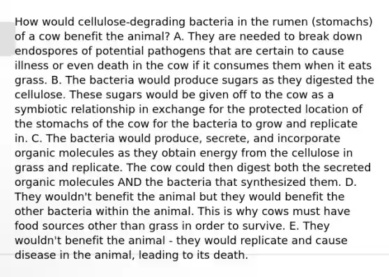 How would cellulose-degrading bacteria in the rumen (stomachs) of a cow benefit the animal? A. They are needed to break down endospores of potential pathogens that are certain to cause illness or even death in the cow if it consumes them when it eats grass. B. The bacteria would produce sugars as they digested the cellulose. These sugars would be given off to the cow as a symbiotic relationship in exchange for the protected location of <a href='https://www.questionai.com/knowledge/kLccSGjkt8-the-stomach' class='anchor-knowledge'>the stomach</a>s of the cow for the bacteria to grow and replicate in. C. The bacteria would produce, secrete, and incorporate <a href='https://www.questionai.com/knowledge/kjUwUacPFG-organic-molecules' class='anchor-knowledge'>organic molecules</a> as they obtain energy from the cellulose in grass and replicate. The cow could then digest both the secreted organic molecules AND the bacteria that synthesized them. D. They wouldn't benefit the animal but they would benefit the other bacteria within the animal. This is why cows must have food sources other than grass in order to survive. E. They wouldn't benefit the animal - they would replicate and cause disease in the animal, leading to its death.