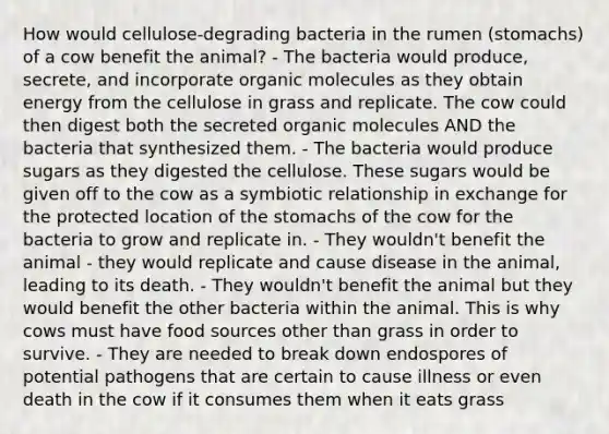 How would cellulose-degrading bacteria in the rumen (stomachs) of a cow benefit the animal? - The bacteria would produce, secrete, and incorporate <a href='https://www.questionai.com/knowledge/kjUwUacPFG-organic-molecules' class='anchor-knowledge'>organic molecules</a> as they obtain energy from the cellulose in grass and replicate. The cow could then digest both the secreted organic molecules AND the bacteria that synthesized them. - The bacteria would produce sugars as they digested the cellulose. These sugars would be given off to the cow as a symbiotic relationship in exchange for the protected location of <a href='https://www.questionai.com/knowledge/kLccSGjkt8-the-stomach' class='anchor-knowledge'>the stomach</a>s of the cow for the bacteria to grow and replicate in. - They wouldn't benefit the animal - they would replicate and cause disease in the animal, leading to its death. - They wouldn't benefit the animal but they would benefit the other bacteria within the animal. This is why cows must have food sources other than grass in order to survive. - They are needed to break down endospores of potential pathogens that are certain to cause illness or even death in the cow if it consumes them when it eats grass