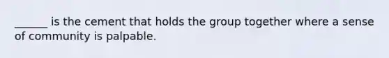 ______ is the cement that holds the group together where a sense of community is palpable.