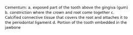 Cementum: a. exposed part of the tooth above the gingiva (gum) b. constriction where the crown and root come together c. Calcified connective tissue that covers the root and attaches it to the periodontal ligament d. Portion of the tooth embedded in the jawbone