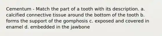 Cementum - Match the part of a tooth with its description. a. calcified connective tissue around the bottom of the tooth b. forms the support of the gomphosis c. exposed and covered in enamel d. embedded in the jawbone