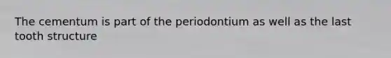 The cementum is part of the periodontium as well as the last tooth structure