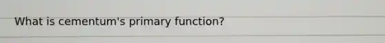 What is cementum's primary function?