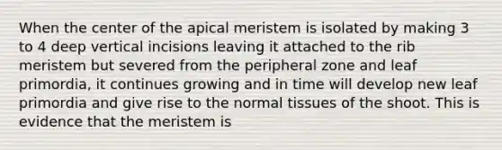 When the center of the apical meristem is isolated by making 3 to 4 deep vertical incisions leaving it attached to the rib meristem but severed from the peripheral zone and leaf primordia, it continues growing and in time will develop new leaf primordia and give rise to the normal tissues of the shoot. This is evidence that the meristem is