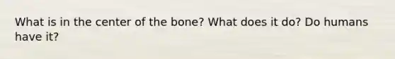 What is in the center of the bone? What does it do? Do humans have it?