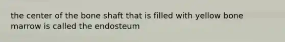 the center of the bone shaft that is filled with yellow bone marrow is called the endosteum