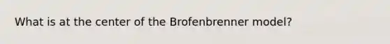 What is at the center of the Brofenbrenner model?