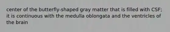 center of the butterfly-shaped gray matter that is filled with CSF; it is continuous with the medulla oblongata and the ventricles of the brain