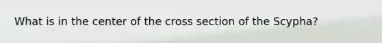 What is in the center of the cross section of the Scypha?