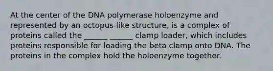 At the center of the DNA polymerase holoenzyme and represented by an octopus-like structure, is a complex of proteins called the ______ ______ clamp loader, which includes proteins responsible for loading the beta clamp onto DNA. The proteins in the complex hold the holoenzyme together.