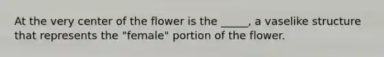 At the very center of the flower is the _____, a vaselike structure that represents the "female" portion of the flower.