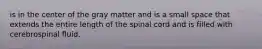 is in the center of the gray matter and is a small space that extends the entire length of the spinal cord and is filled with cerebrospinal fluid.