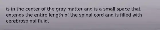 is in the center of the gray matter and is a small space that extends the entire length of the spinal cord and is filled with cerebrospinal fluid.