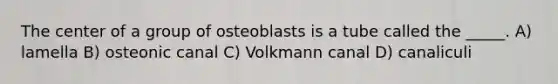 The center of a group of osteoblasts is a tube called the _____. A) lamella B) osteonic canal C) Volkmann canal D) canaliculi