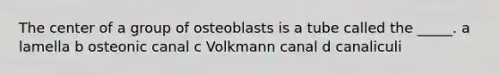 The center of a group of osteoblasts is a tube called the _____. a lamella b osteonic canal c Volkmann canal d canaliculi