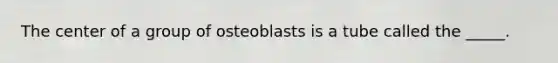 The center of a group of osteoblasts is a tube called the _____.