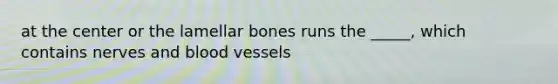 at the center or the lamellar bones runs the _____, which contains nerves and blood vessels