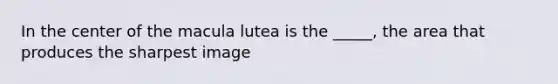 In the center of the macula lutea is the _____, the area that produces the sharpest image