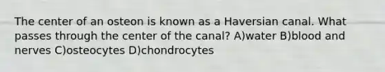 The center of an osteon is known as a Haversian canal. What passes through the center of the canal? A)water B)blood and nerves C)osteocytes D)chondrocytes