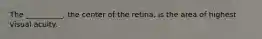 The __________, the center of the retina, is the area of highest visual acuity.