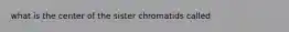 what is the center of the sister chromatids called