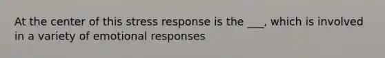 At the center of this stress response is the ___, which is involved in a variety of emotional responses