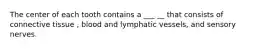 The center of each tooth contains a ___ __ that consists of connective tissue , blood and lymphatic vessels, and sensory nerves.