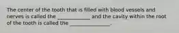 The center of the tooth that is filled with blood vessels and nerves is called the _____________ and the cavity within the root of the tooth is called the ________________.