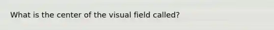 What is the center of the visual field called?