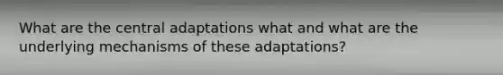 What are the central adaptations what and what are the underlying mechanisms of these adaptations?