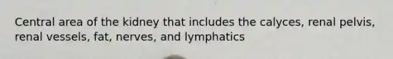 Central area of the kidney that includes the calyces, renal pelvis, renal vessels, fat, nerves, and lymphatics
