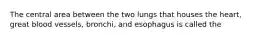 The central area between the two lungs that houses the heart, great blood vessels, bronchi, and esophagus is called the