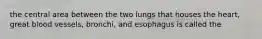 the central area between the two lungs that houses the heart, great blood vessels, bronchi, and esophagus is called the