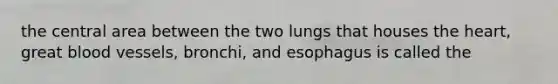 the central area between the two lungs that houses the heart, great blood vessels, bronchi, and esophagus is called the