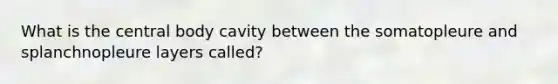 What is the central body cavity between the somatopleure and splanchnopleure layers called?