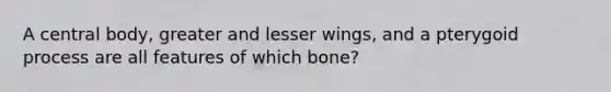 A central body, greater and lesser wings, and a pterygoid process are all features of which bone?