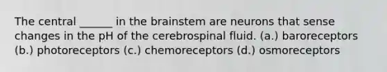 The central ______ in the brainstem are neurons that sense changes in the pH of the cerebrospinal fluid. (a.) baroreceptors (b.) photoreceptors (c.) chemoreceptors (d.) osmoreceptors