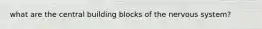 what are the central building blocks of the nervous system?